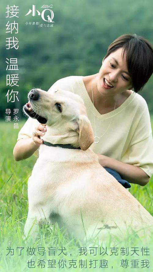 高中毕业证查询网 浙江籍
